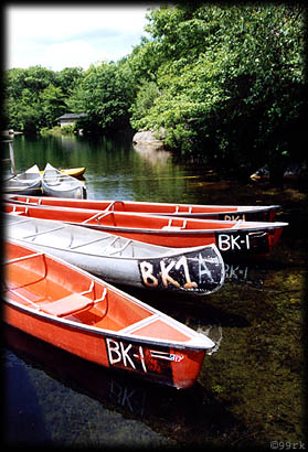 canoes.jpg (47793 Byte)