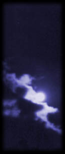 south.jpg (13179 Byte)
