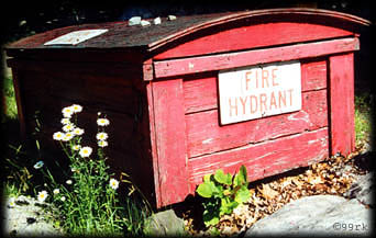 firehyd.jpg (33866 Byte)