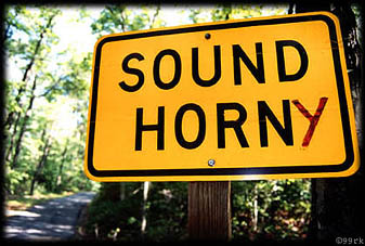 horny.jpg (37481 Byte)