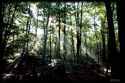 land4.jpg (60792 Byte)