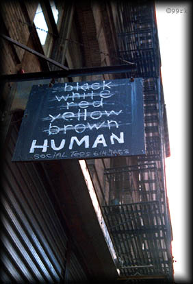 nyc1.jpg (34037 Byte)