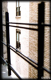 nyc10.jpg (24058 Byte)