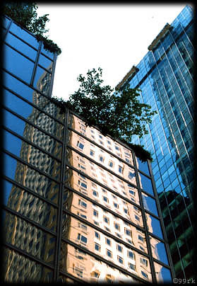 nyc7.jpg (50520 Byte)